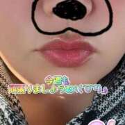 ヒメ日記 2025/12/22 09:58 投稿 のん 福岡大野城・板付インターちゃんこ