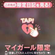 ヒメ日記 2026/01/29 08:46 投稿 スズメ エピソード(品川)