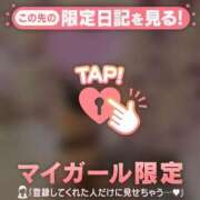 ヒメ日記 2026/02/19 02:31 投稿 スズメ エピソード(品川)