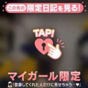 ヒメ日記 2026/04/03 12:46 投稿 スズメ エピソード(品川)