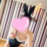 ヒメ日記 2026/05/01 11:01 投稿 スズメ エピソード(品川)