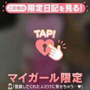 ヒメ日記 2026/05/22 07:31 投稿 スズメ エピソード(品川)