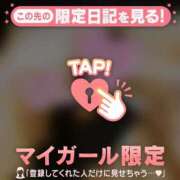 ヒメ日記 2026/06/09 14:16 投稿 スズメ エピソード(品川)