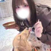 高橋らむ 体調完全復活しました！！ JKリフレ東京 秋葉原本店