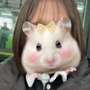 ヒメ日記 2026/01/14 14:47 投稿 あい 秋葉原鑑賞ガール