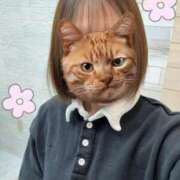 ヒメ日記 2026/01/23 09:47 投稿 あい 秋葉原鑑賞ガール