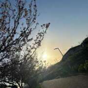 ヒメ日記 2026/01/02 15:01 投稿 あずさ ナメすぎサークル立川店