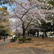 ヒメ日記 2026/04/06 17:10 投稿 葉月 熟女の風俗最終章 横浜本店