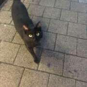 みな 今日から体験です( ᵒ̴̶̷̤◦ᵒ̴̶̷̤ ) 上野ハンドメイド