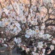 ヒメ日記 2026/02/04 07:40 投稿 ライカ 渋谷角海老