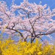 ヒメ日記 2026/03/11 12:40 投稿 ライカ 渋谷角海老