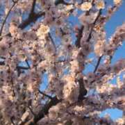 ヒメ日記 2026/03/15 20:50 投稿 ライカ 渋谷角海老