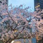 ヒメ日記 2026/04/05 15:30 投稿 ライカ 渋谷角海老