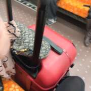 ヒメ日記 2026/01/29 22:11 投稿 イザベラ(エヴァ) ドラキュラクイーン