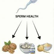 ヒメ日記 2026/02/04 15:17 投稿 イザベラ(エヴァ) ドラキュラクイーン