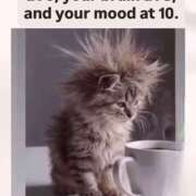 ヒメ日記 2026/02/06 09:14 投稿 イザベラ(エヴァ) ドラキュラクイーン