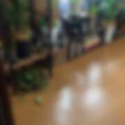 ヒメ日記 2026/02/12 12:01 投稿 イザベラ(エヴァ) ドラキュラクイーン