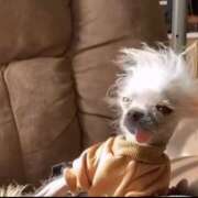 ヒメ日記 2026/02/21 07:45 投稿 イザベラ(エヴァ) ドラキュラクイーン