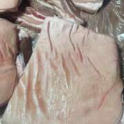 ヒメ日記 2026/02/24 16:40 投稿 イザベラ(エヴァ) ドラキュラクイーン