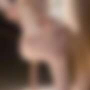 ヒメ日記 2026/03/01 09:17 投稿 イザベラ(エヴァ) ドラキュラクイーン