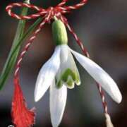 ヒメ日記 2026/03/01 11:35 投稿 イザベラ(エヴァ) ドラキュラクイーン