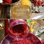 ヒメ日記 2026/03/11 07:31 投稿 イザベラ(エヴァ) ドラキュラクイーン