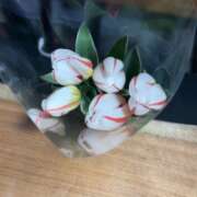 ヒメ日記 2026/03/16 19:02 投稿 イザベラ(エヴァ) ドラキュラクイーン