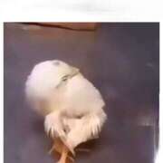 ヒメ日記 2026/03/17 09:56 投稿 イザベラ(エヴァ) ドラキュラクイーン