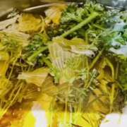 ヒメ日記 2026/03/20 11:30 投稿 イザベラ(エヴァ) ドラキュラクイーン