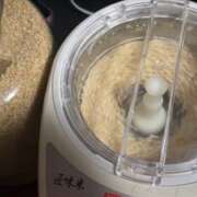 ヒメ日記 2026/03/21 07:20 投稿 イザベラ(エヴァ) ドラキュラクイーン