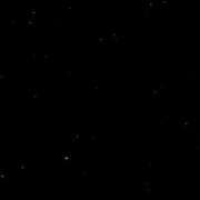 ヒメ日記 2026/03/22 20:02 投稿 イザベラ(エヴァ) ドラキュラクイーン