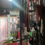 ヒメ日記 2026/03/24 17:50 投稿 イザベラ(エヴァ) ドラキュラクイーン