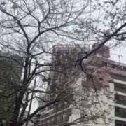 ヒメ日記 2026/03/25 13:06 投稿 イザベラ(エヴァ) ドラキュラクイーン