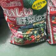 ヒメ日記 2026/05/04 15:17 投稿 イザベラ(エヴァ) ドラキュラクイーン