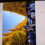 みほ はじめまして！ しゅうかつ倶楽部