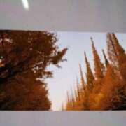 みほ イチョウ並木 しゅうかつ倶楽部