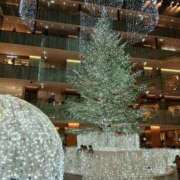 ヒメ日記 2025/12/14 09:59 投稿 みほ しゅうかつ倶楽部