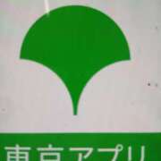 ヒメ日記 2025/12/15 10:01 投稿 みほ しゅうかつ倶楽部