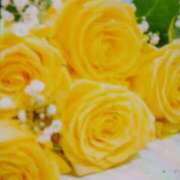 ヒメ日記 2025/12/16 10:25 投稿 みほ しゅうかつ倶楽部