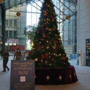 ヒメ日記 2025/12/17 11:36 投稿 みほ しゅうかつ倶楽部