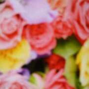 ヒメ日記 2025/12/21 10:21 投稿 みほ しゅうかつ倶楽部