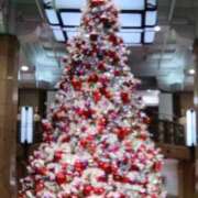 ヒメ日記 2025/12/25 10:01 投稿 みほ しゅうかつ倶楽部