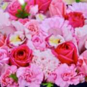 ヒメ日記 2025/12/28 11:46 投稿 みほ しゅうかつ倶楽部