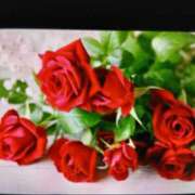 ヒメ日記 2026/01/09 12:10 投稿 みほ しゅうかつ倶楽部