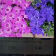 ヒメ日記 2026/01/20 09:58 投稿 みほ しゅうかつ倶楽部