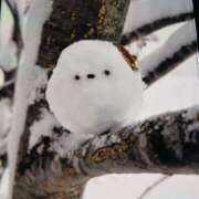 ヒメ日記 2026/01/21 18:06 投稿 みほ しゅうかつ倶楽部