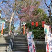 ヒメ日記 2026/01/28 16:24 投稿 みほ しゅうかつ倶楽部