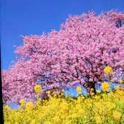 みほ 有り難う御座います☺ しゅうかつ倶楽部