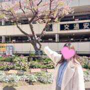 ヒメ日記 2026/02/25 12:02 投稿 ほのか 蒲田ウルトラギャラクシー