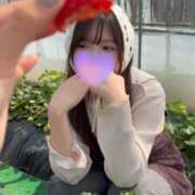 ヒメ日記 2026/04/13 08:12 投稿 ほのか 蒲田ウルトラギャラクシー